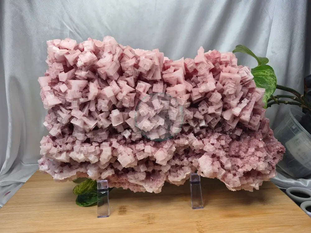 PINK HALITE CLUSTER XL