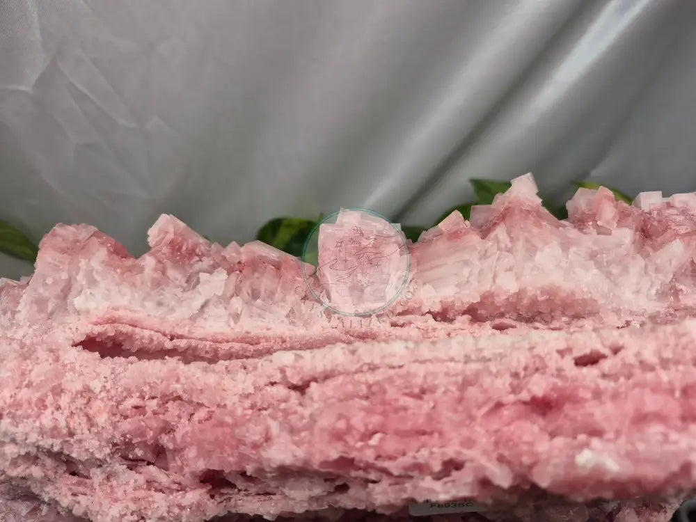 PINK HALITE CLUSTER XL