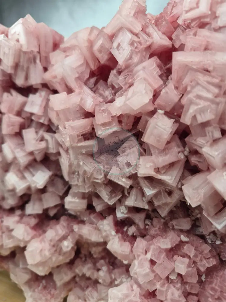 PINK HALITE CLUSTER XL