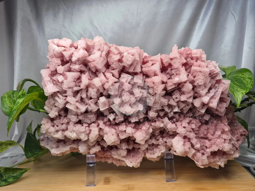 PINK HALITE CLUSTER XL