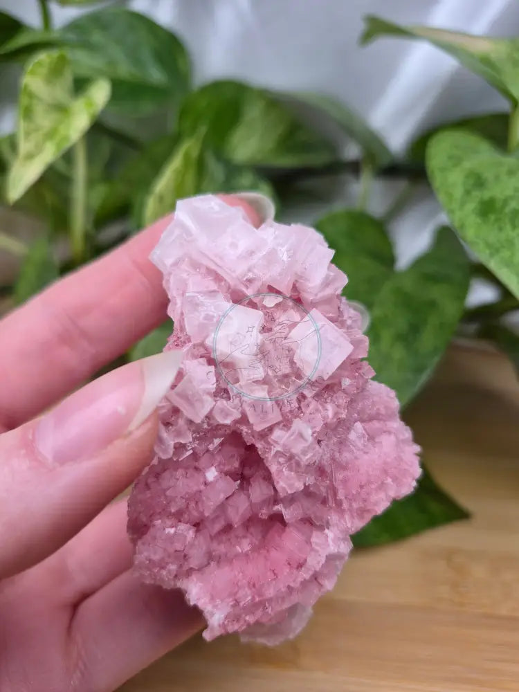 PINK HALITE SPECIMEN