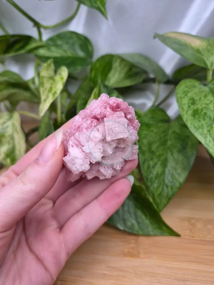 PINK HALITE SPECIMEN