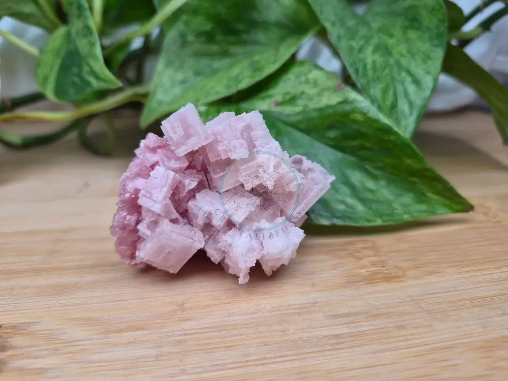 PINK HALITE SPECIMEN