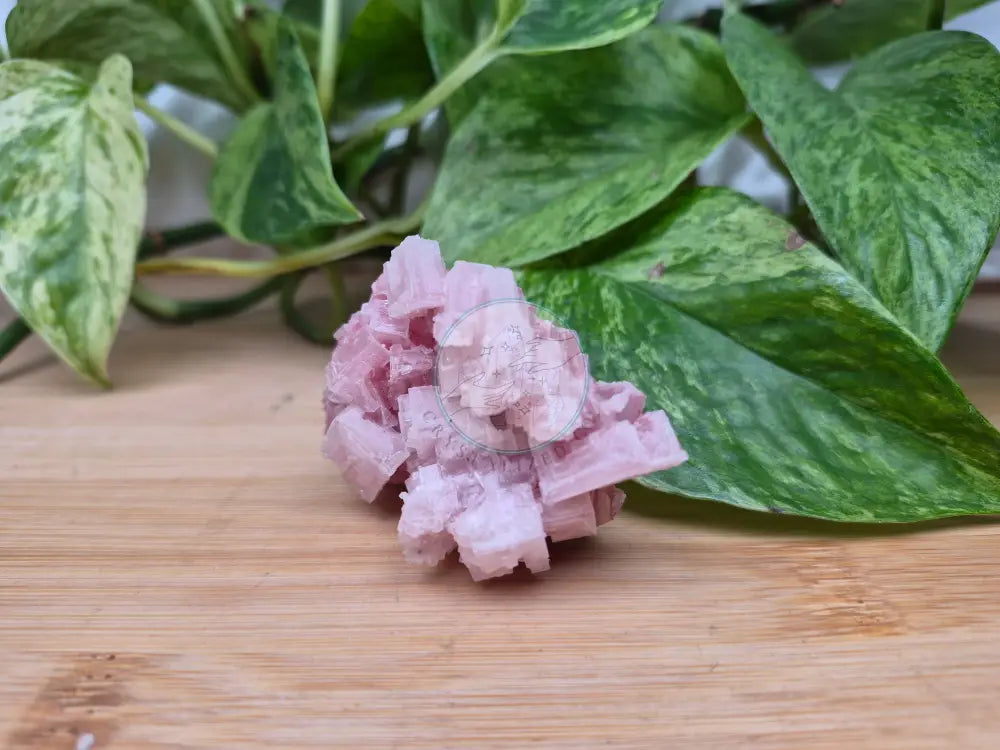PINK HALITE SPECIMEN