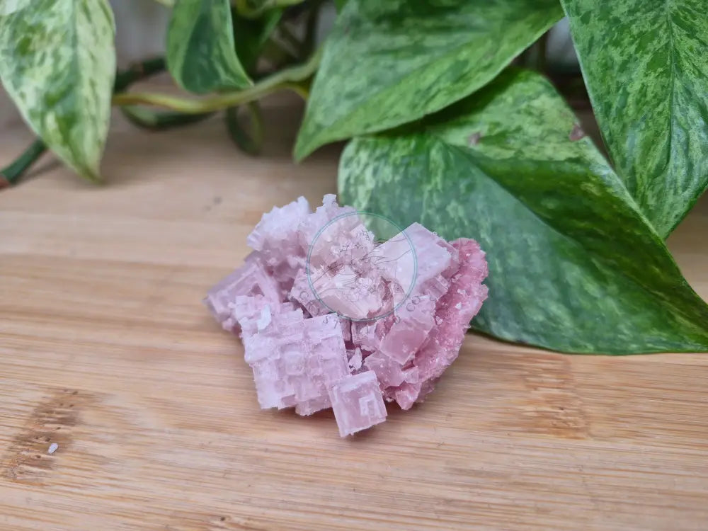 PINK HALITE SPECIMEN
