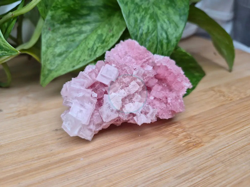 PINK HALITE SPECIMEN