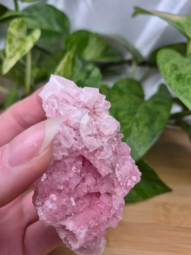 PINK HALITE SPECIMEN