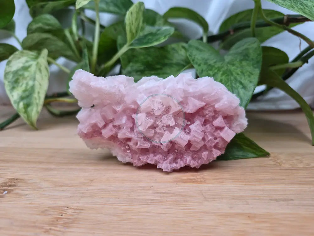 PINK HALITE SPECIMEN