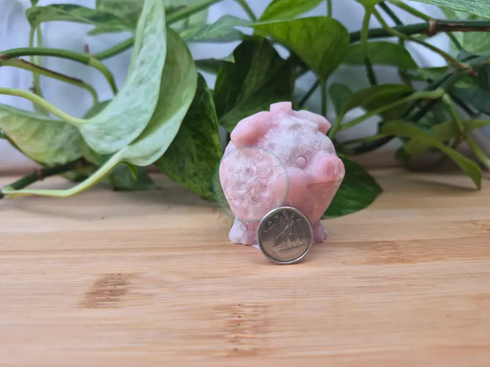 PINK OPAL STRAWBERRY PIG