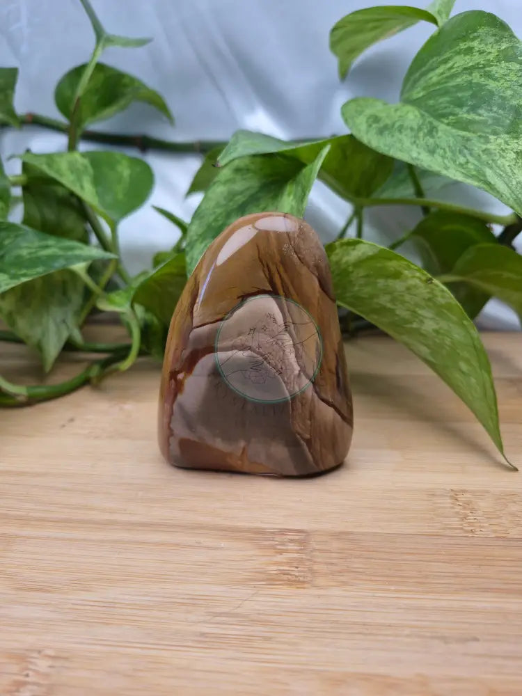 POLYCHROME JASPER FREEFORM