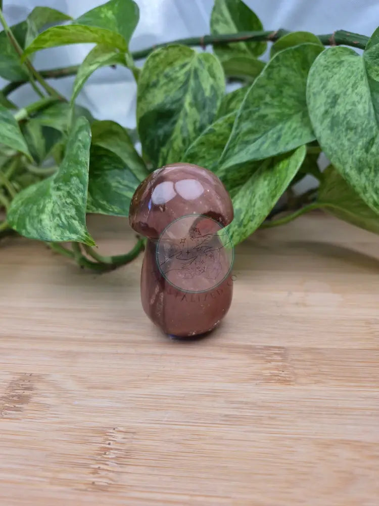 POLYCHROME JASPER MUSHROOM