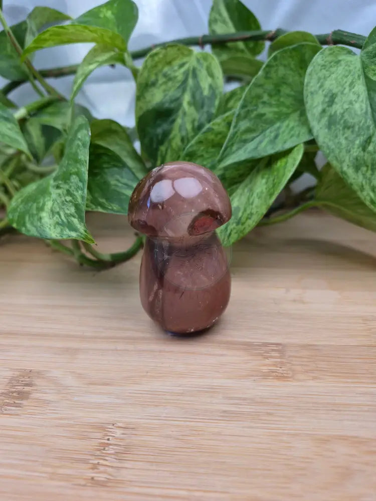 POLYCHROME JASPER MUSHROOM