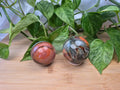 POLYCHROME JASPER SPHERE