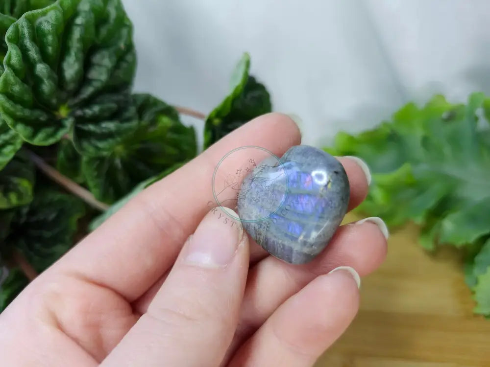 PURPLE LABRADORITE HEART