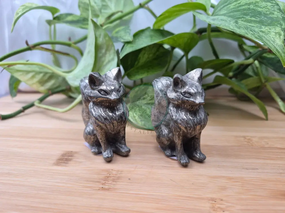 PYRITE FOX