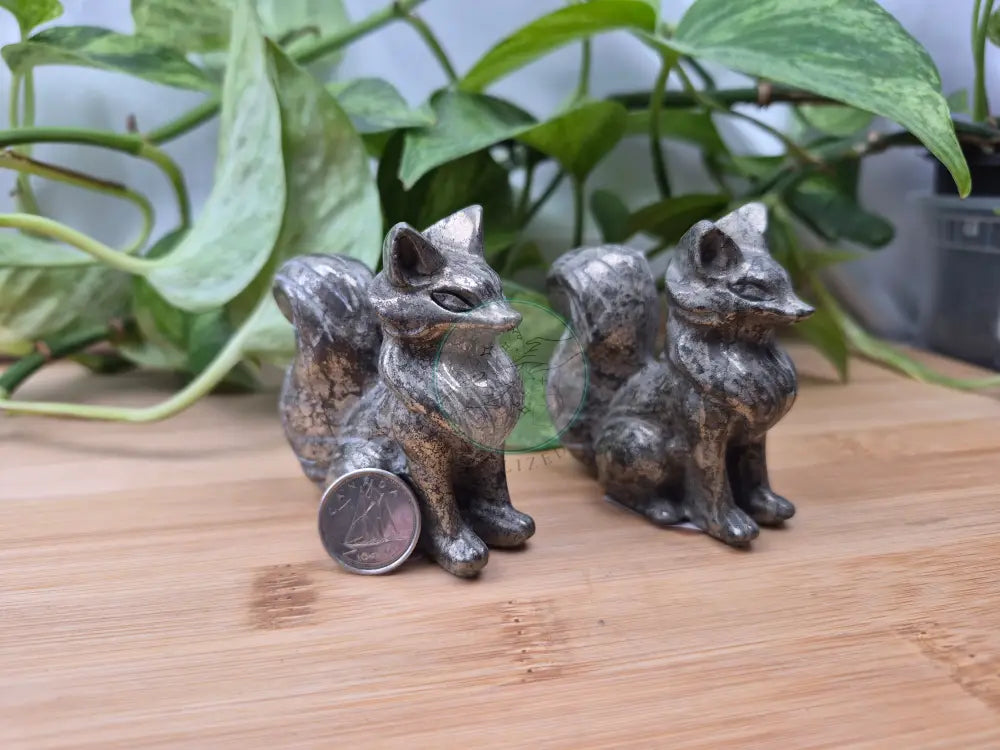 PYRITE FOX