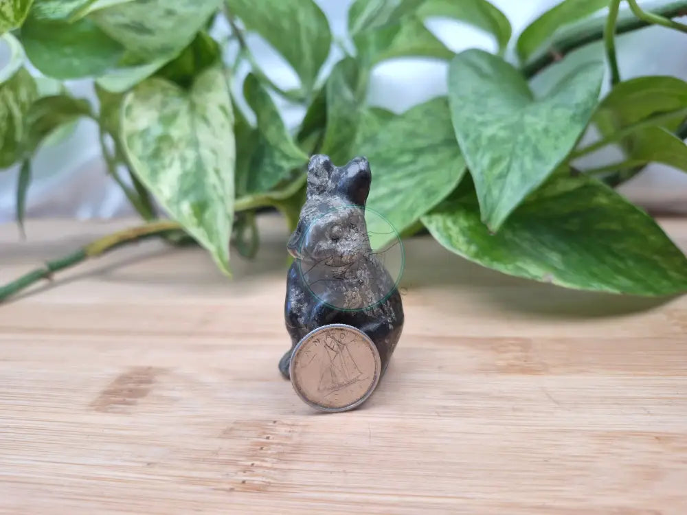 PYRITE RABBIT