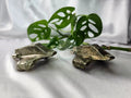 PYRITE RAZOR CREST