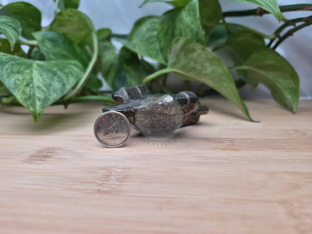 PYRITE RAZOR CREST