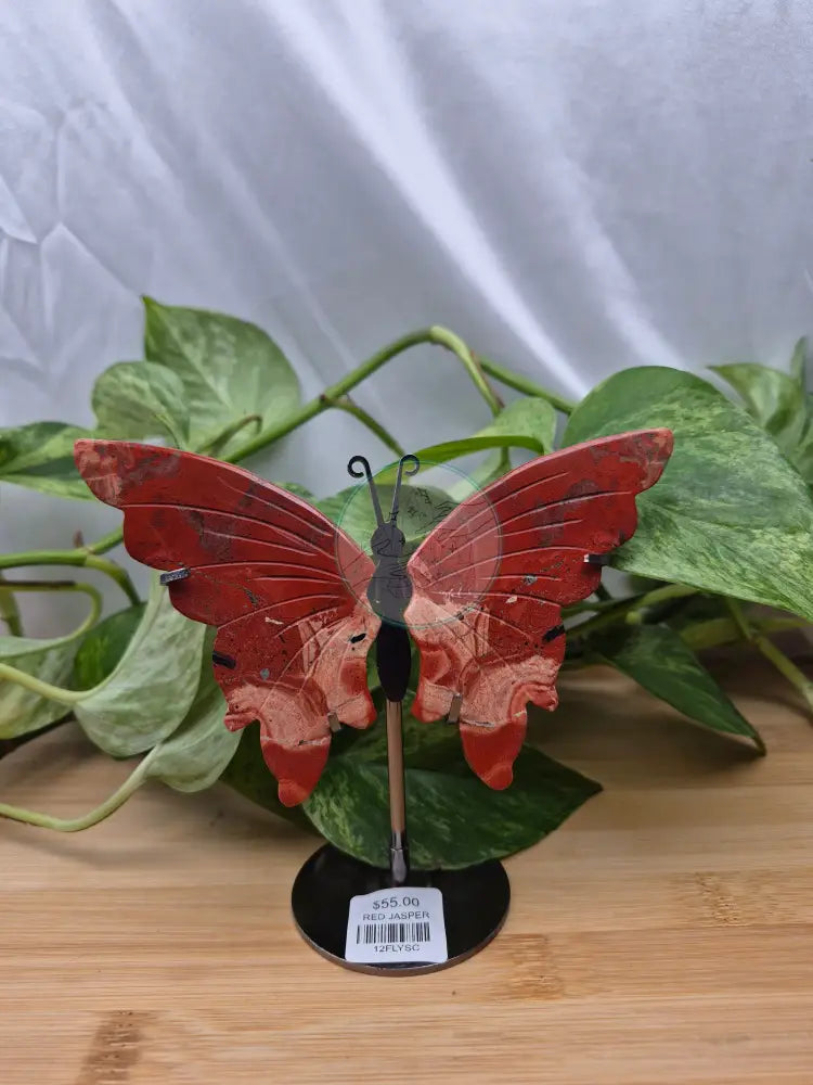RED JASPER BUTTERFLY WINGS