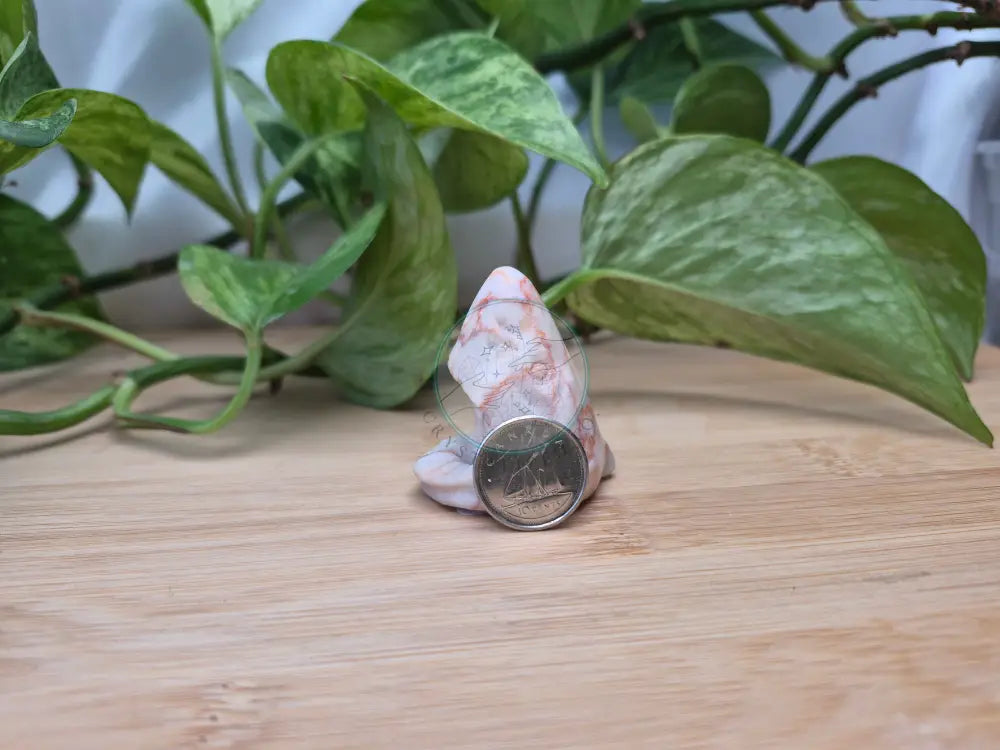 RED VEIN JASPER SHARK HEAD