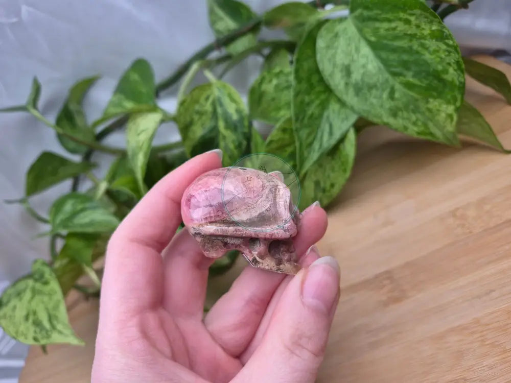 RHODOCHROSITE SKULL