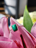 S7 MALACHITE .925 STERLING SILVER