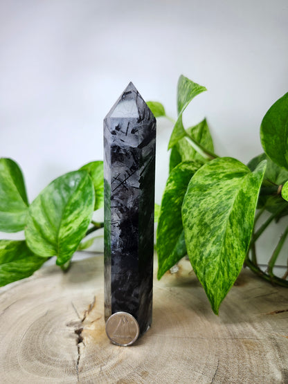 BLACK TOURMALINE TOWER