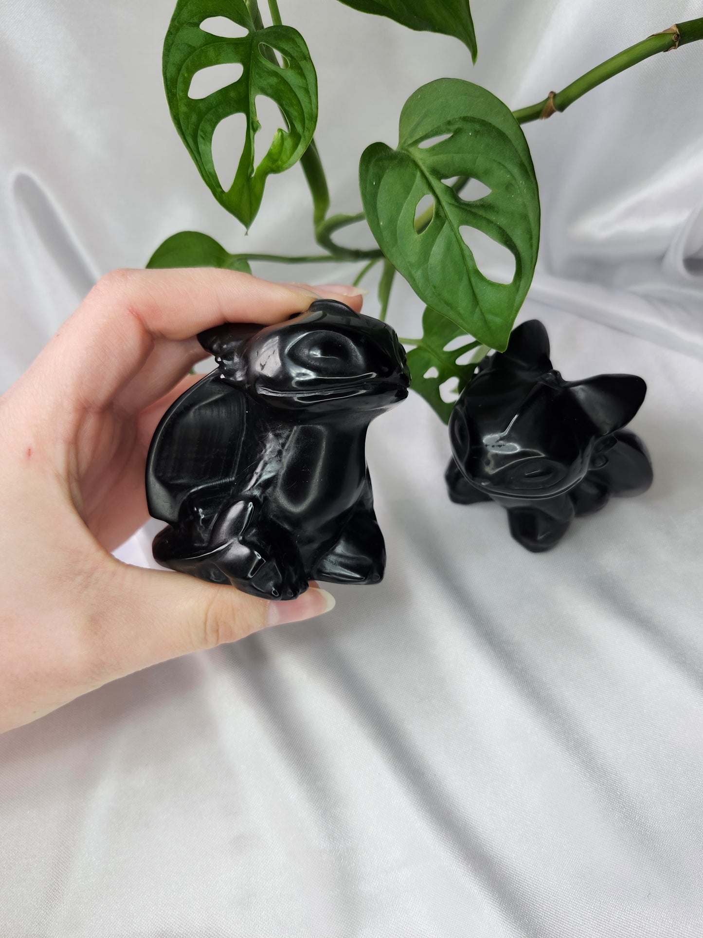 OBSIDIAN XL TOOTHLESS