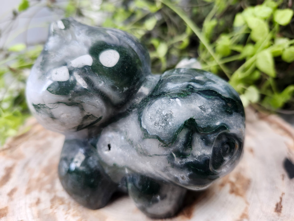 XL MOSS AGATE BULBASAUR