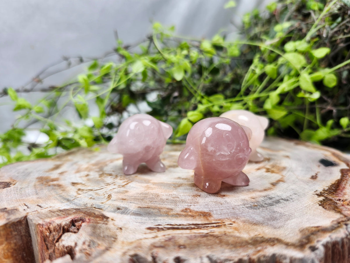 ROSE QUARTZ KIRBY
