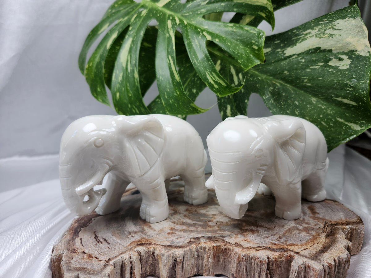 WHITE JADE ELEPHANT