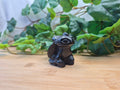 OBSIDIAN TOOTHLESS