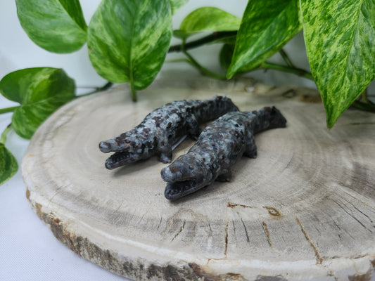 YOOPERLITE ALLIGATOR