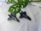 SODALITE JET