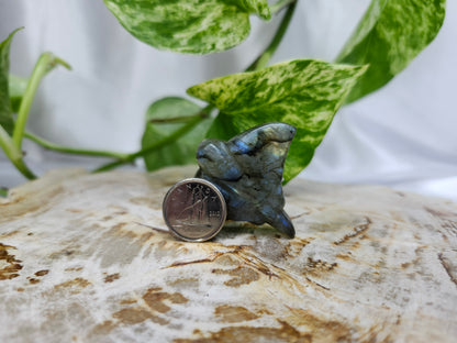 LABRADORITE STINGRAY
