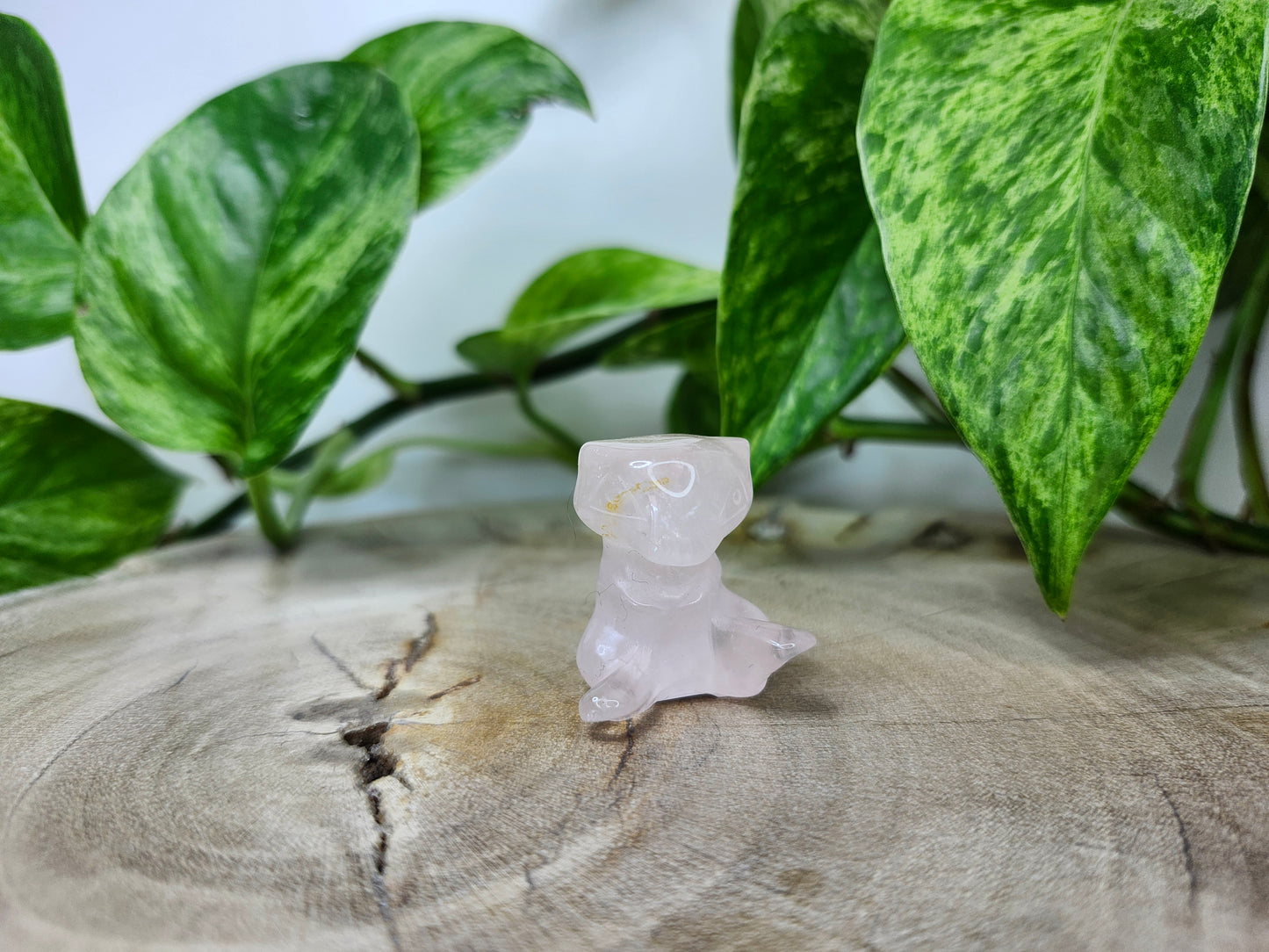ROSE QUARTZ MEW