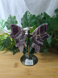 AMETHYST BUTTERFLY WINGS