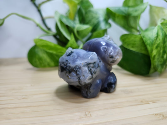 MOSS AGATE BULBASAUR LG