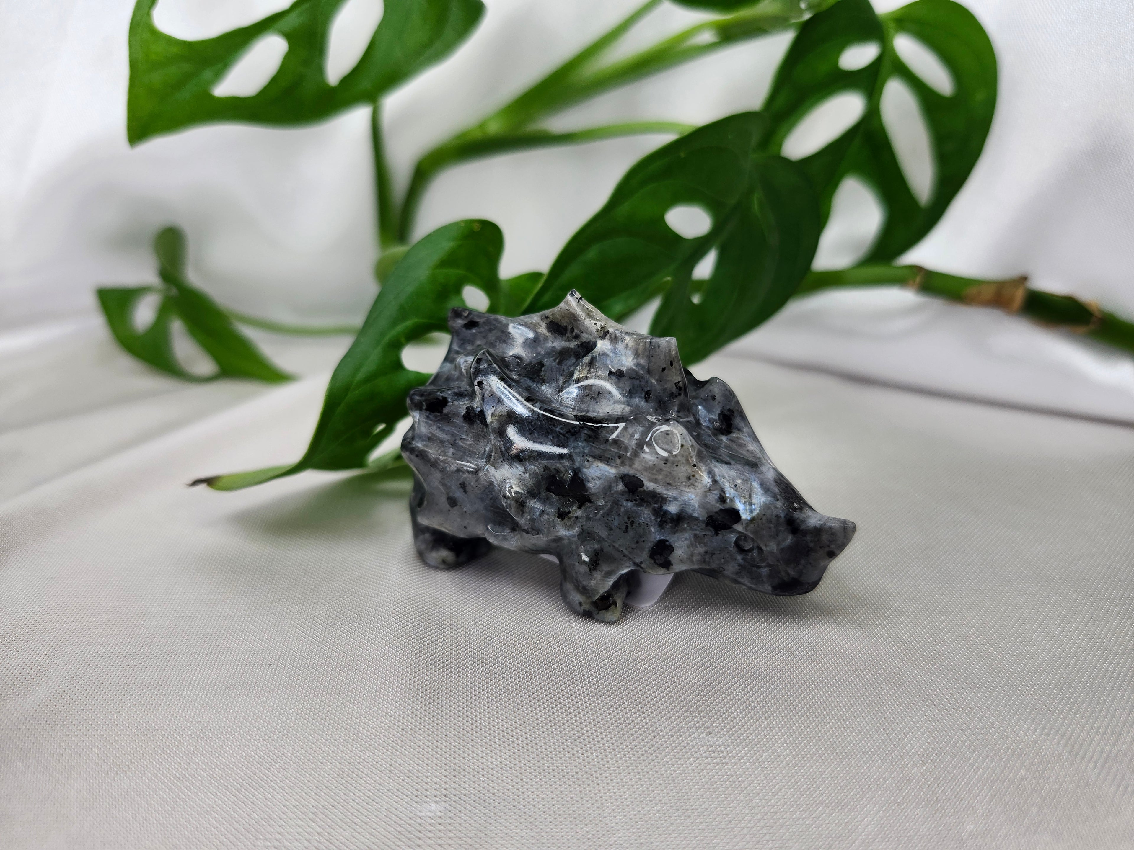 LARVIKITE RYHORN