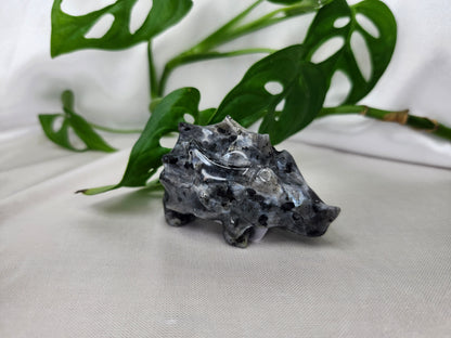 LARVIKITE RYHORN