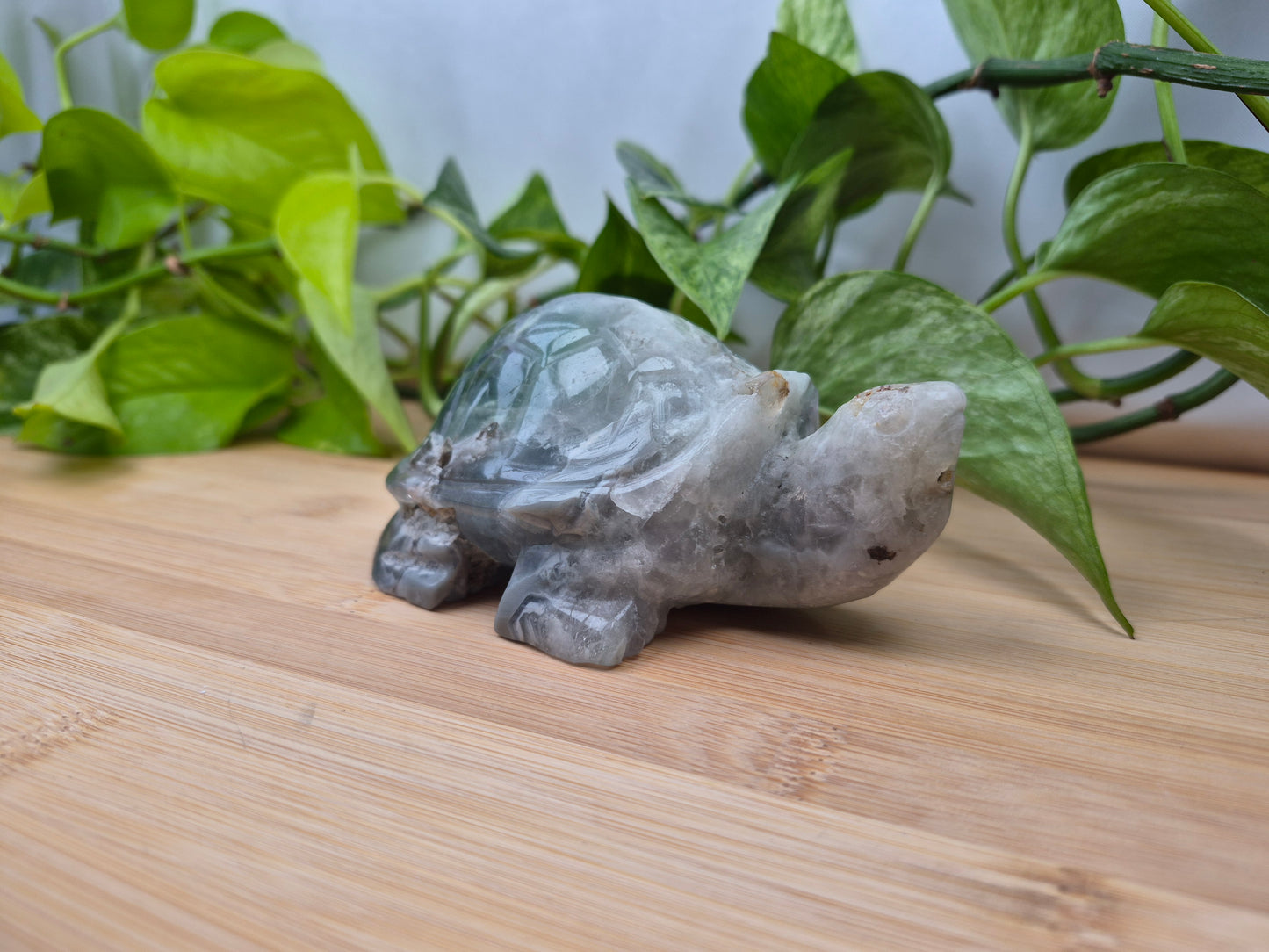 FEATHER FLUORITE TURTLE