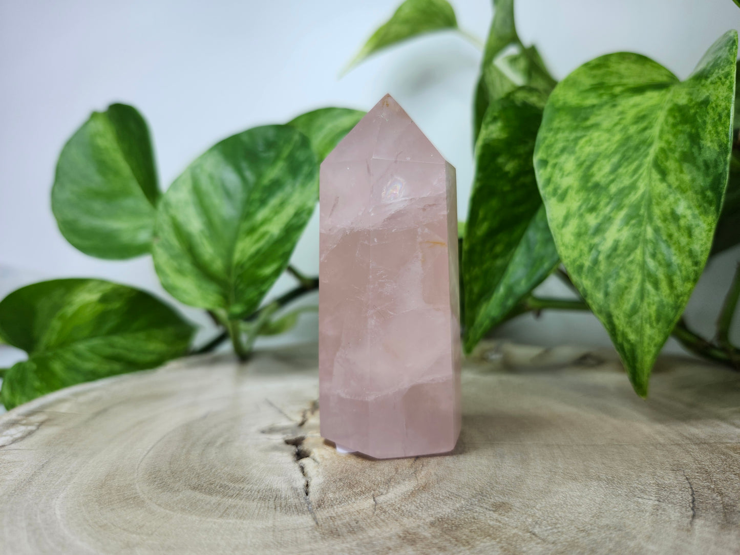 ROSE QUARTZ TOWER