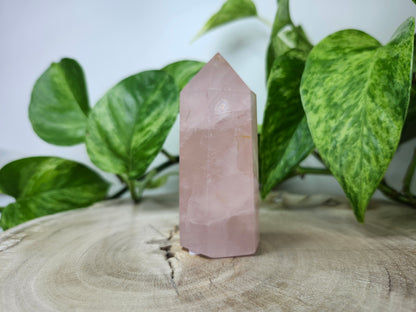 ROSE QUARTZ TOWER