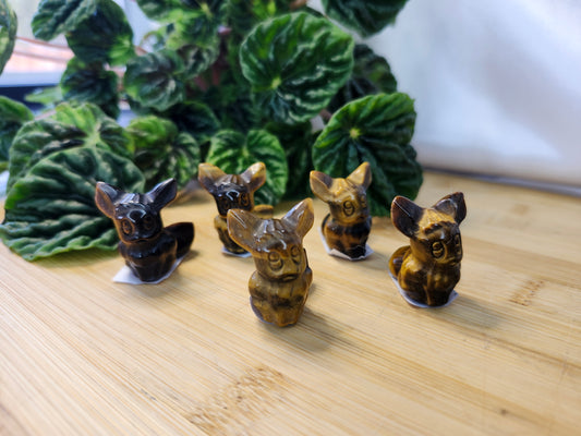 TIGER'S EYE EEVEE