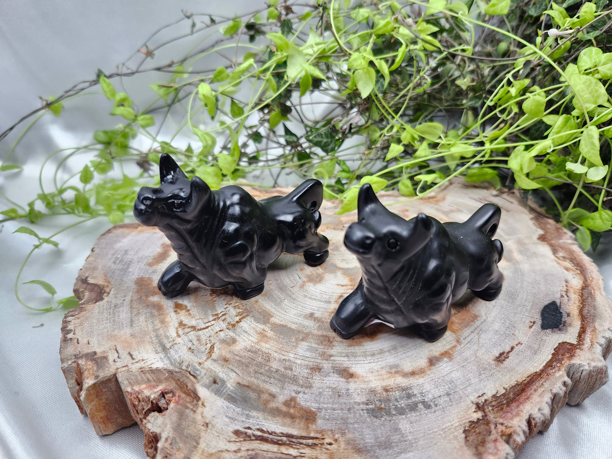BLACK OBSIDIAN BULL