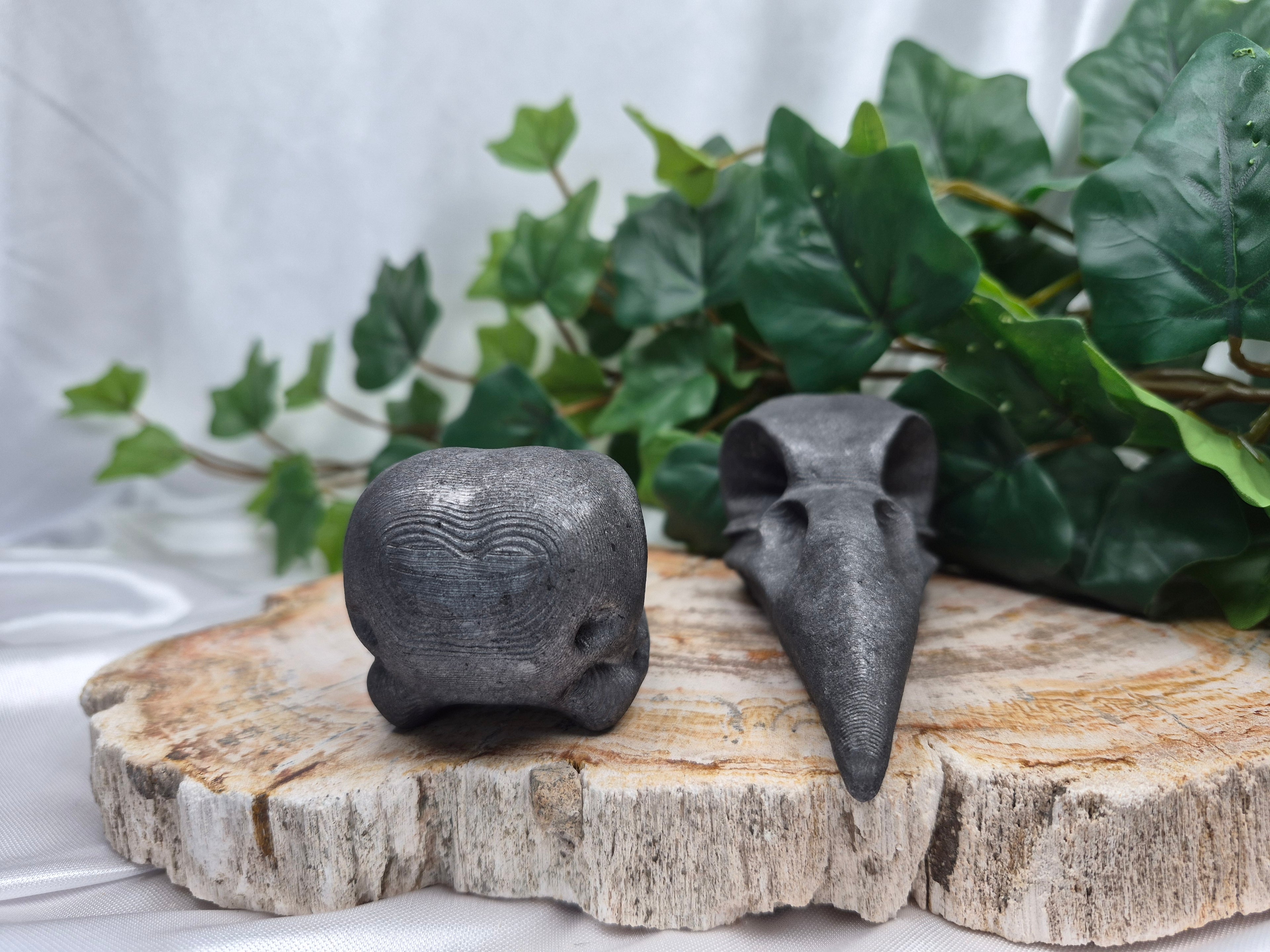 GRAPHITE BIRD SKULL