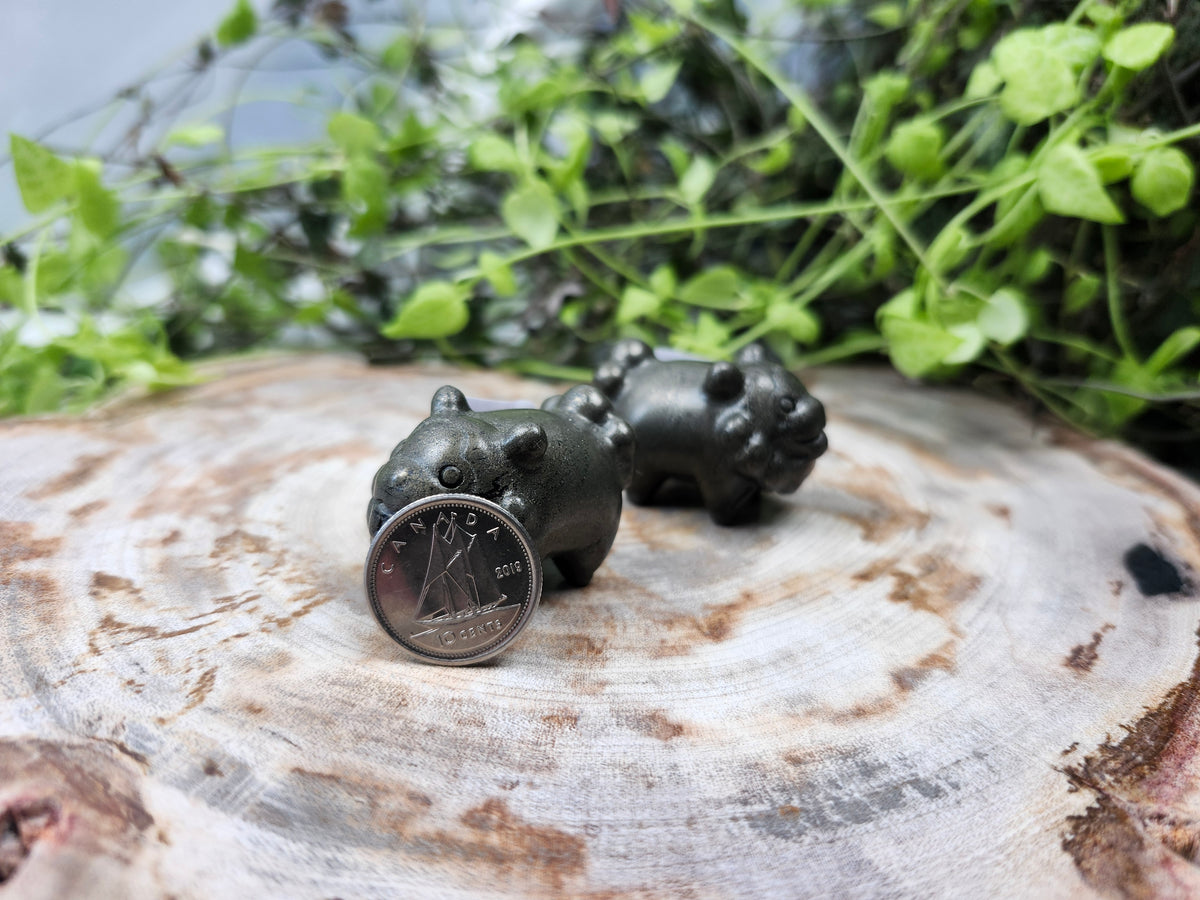 PYRITE BIDOOF