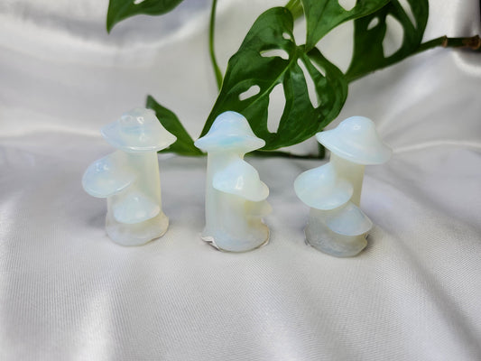 OPALITE MUSHROOM CLUSTER