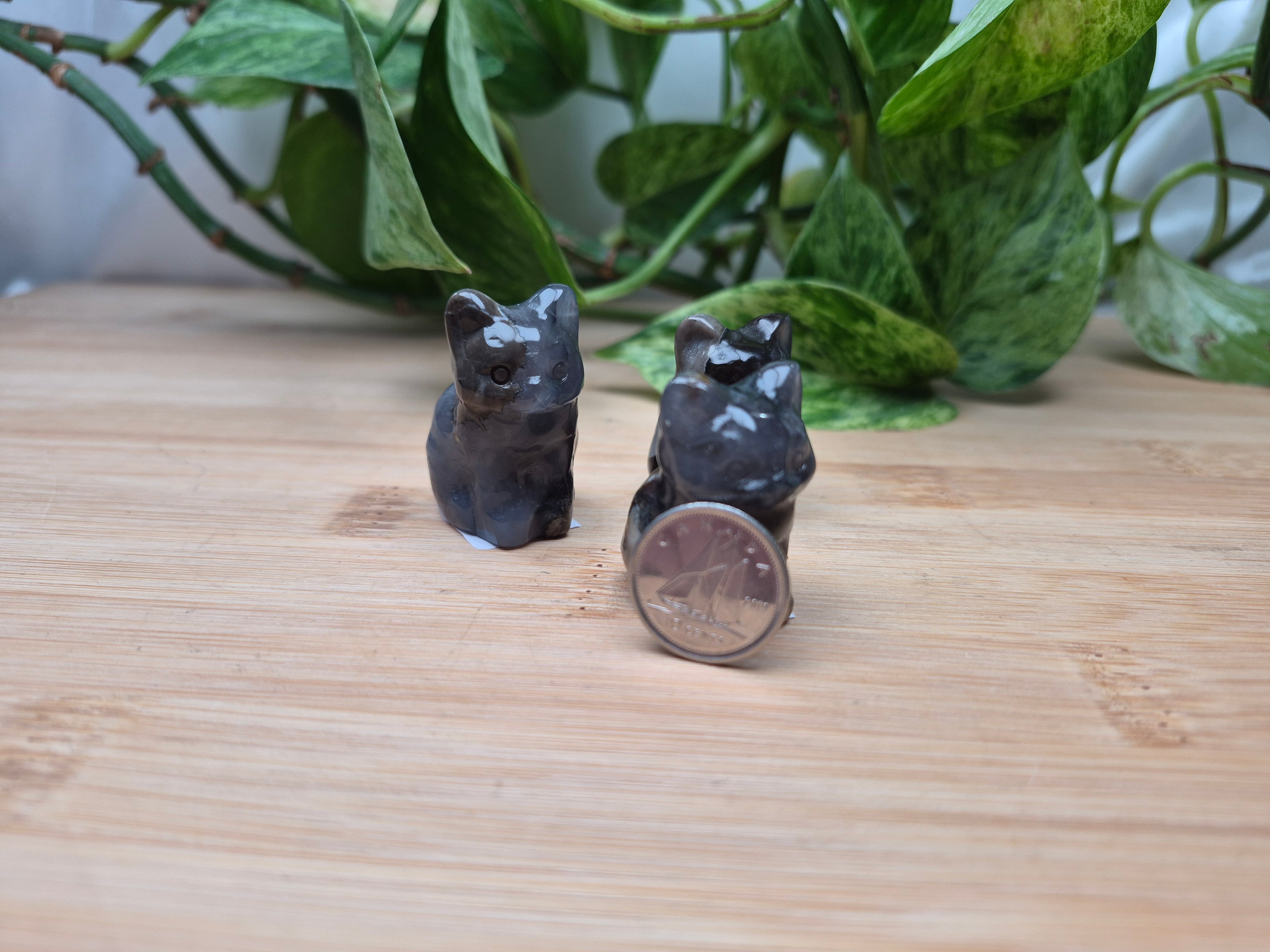 VOLCANO AGATE CAT